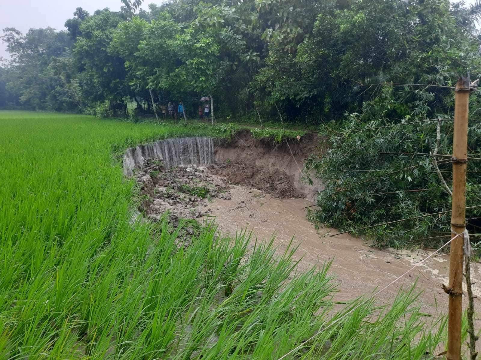 মনোহরদীতে বালু বিক্রি: ফসলী জমি গ্রাস