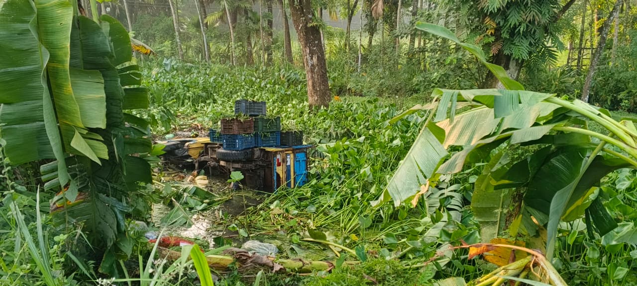 দপদপিয়া চৌমাথায় পিকআপ ডোবায়, আহত চালক
