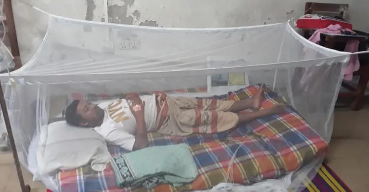 দিনাজপুরে বাড়ছে ডেঙ্গু সংক্রমণ: হাসপাতালে ভর্তি ৫৮ জন, অধিকাংশ রোগী ঢাকাফেরত